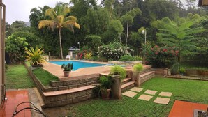 Un patio trasero con piscina, rodeado de abundante vegetación y diversas plantas.