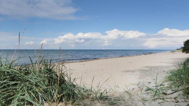 A beach with sand, grass, and a clear sky. - Sonnenblick holiday house (Kalkhorst)