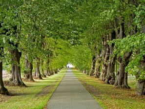 Miscellaneous - Apartment Bremen, Groß Schwansee (Kalkhorst)