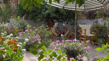Jardim