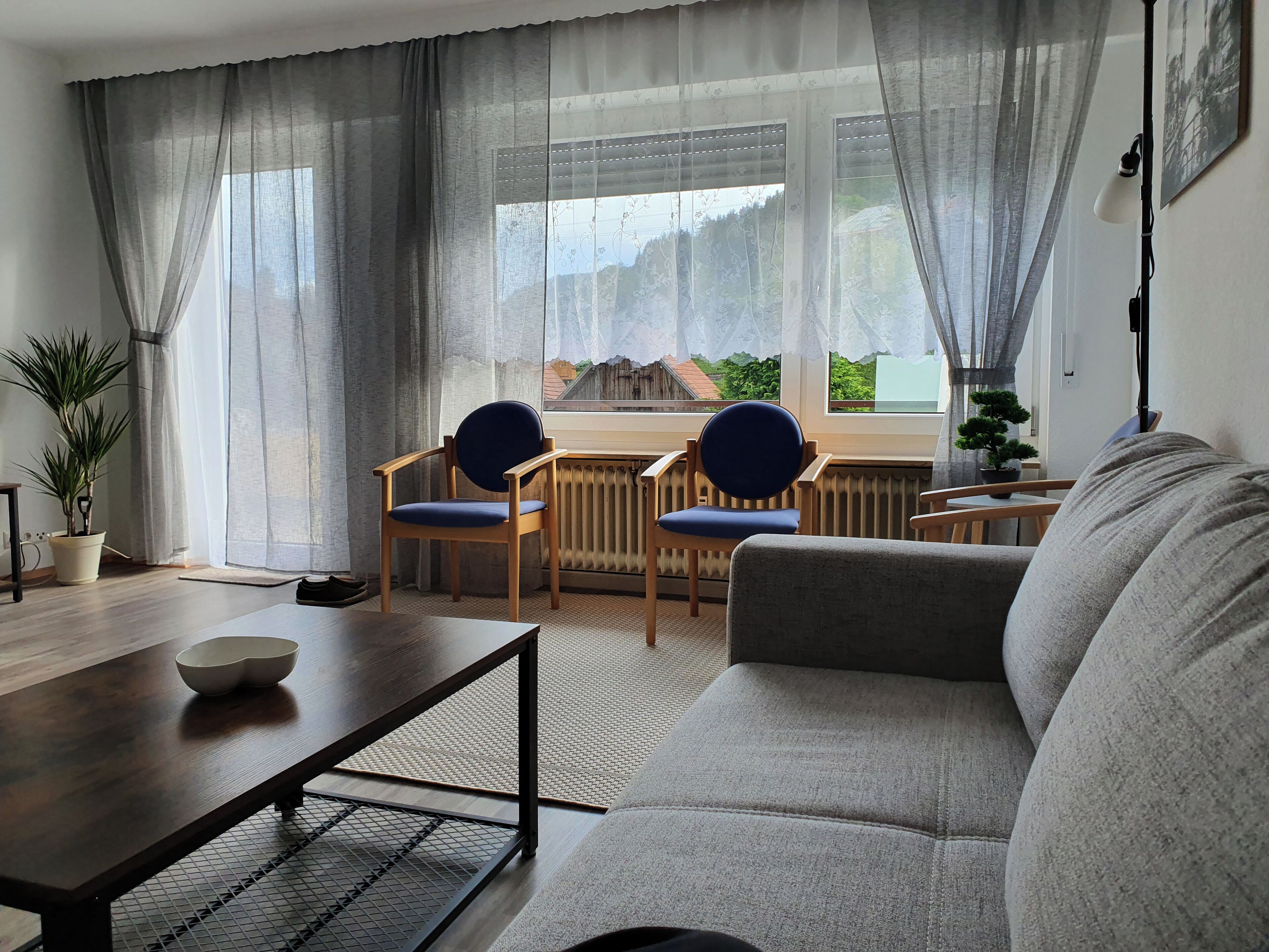 Televisión y reproductor de DVD 