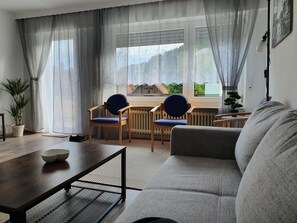 تلفزيون، مشغل دي في دي