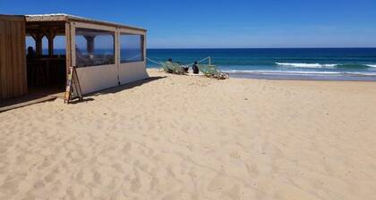 Haus 120 m2 in Tosse 15 Minuten von Hossegor in den Landes