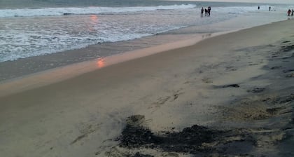 M R Beach & Cottages - 6