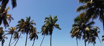 M R Beach & Cottages - 3