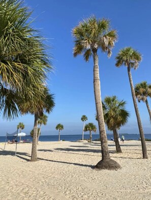 Sun-loungers, beach towels - Tarpon House - Center Street (Tarpon Springs)