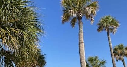 Keskeisellä paikalla ja kauniisti kunnostettu historiallinen koti / yksityinen pysäköinti / AC