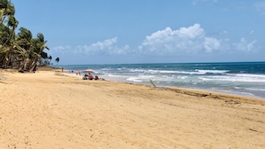 Een strand met palmbomen, enkele mensen en een strandstoel.