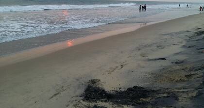 M R Beach & Cottages - 14