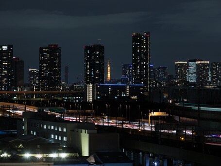 JR East Hotel Mets Premier Tokyo Bay Shinkiba - view 3