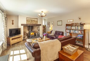 TV, fireplace - Stockham Farm, Dulverton (Dulverton)