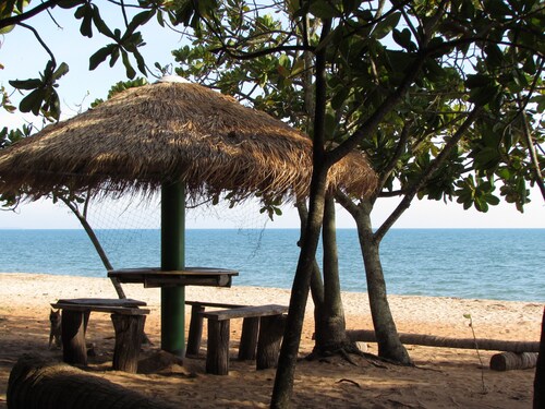 Sun garden beach sea