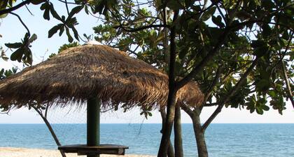 Sun garden beach sea