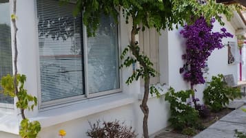 Details aan de buitenkant