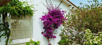 Villa near the beach