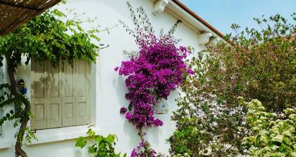 Villa near the beach