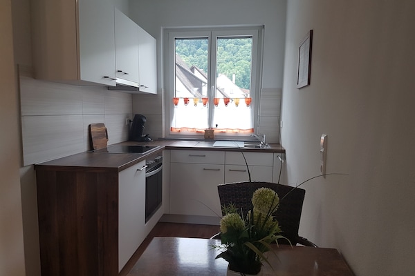 Kühlschrank, Herdplatte, Geschirrspüler