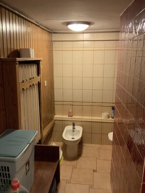 Combined shower/tub, hair dryer, bidet, towels