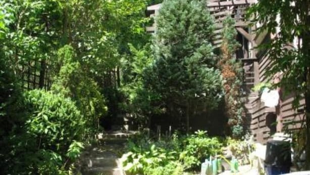 A lush garden with a pond, dense foliage, and a stone wall.