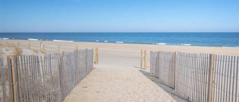 Plage, chaises longues
