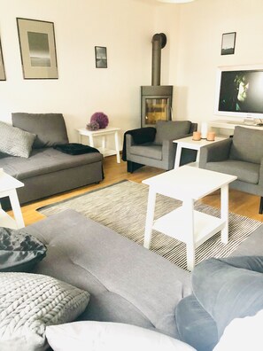 TV, fireplace, table football, books