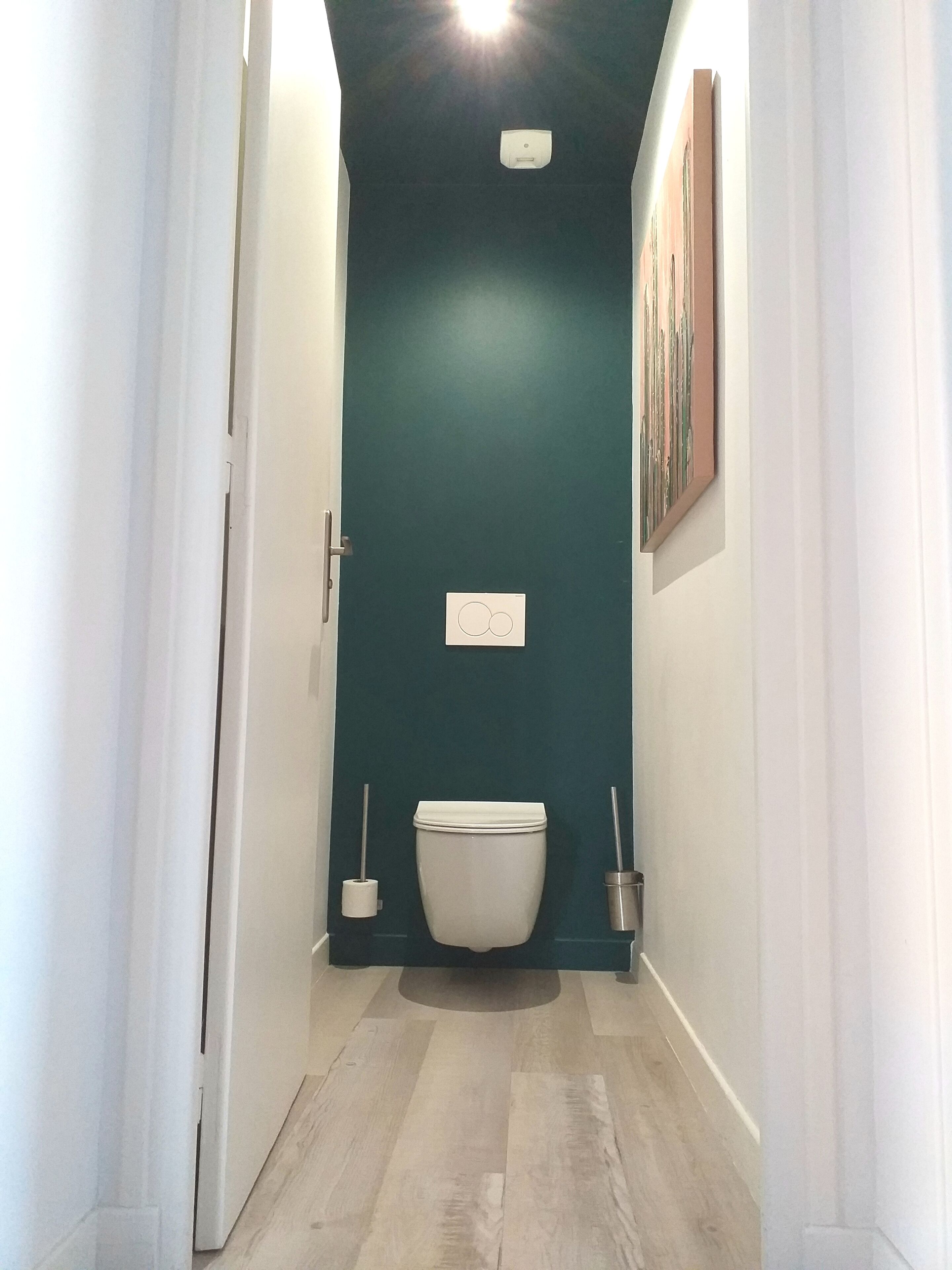 Un couloir étroit, avec des toilettes au fond, une porte sur le côté gauche et un tableau accroché au mur de droite.
