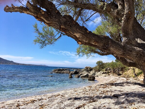 Beach nearby - Appart 4 pers, 2 Bedrooms, with terrace sea view, Clim, private packing (MONTICELLO)