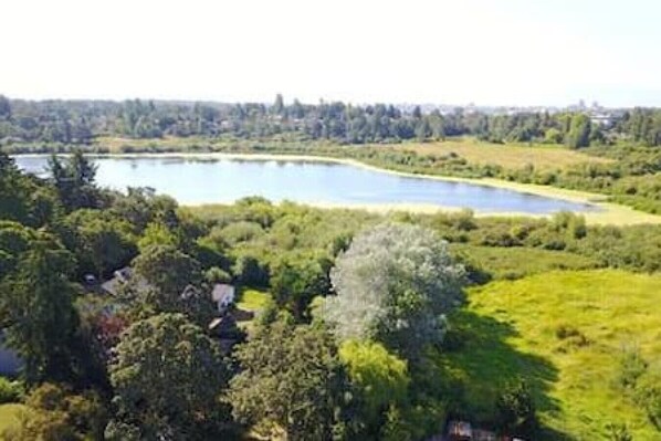 Een uitgestrekt wateroppervlak, omringd door weelderige begroeiing en bomen.
