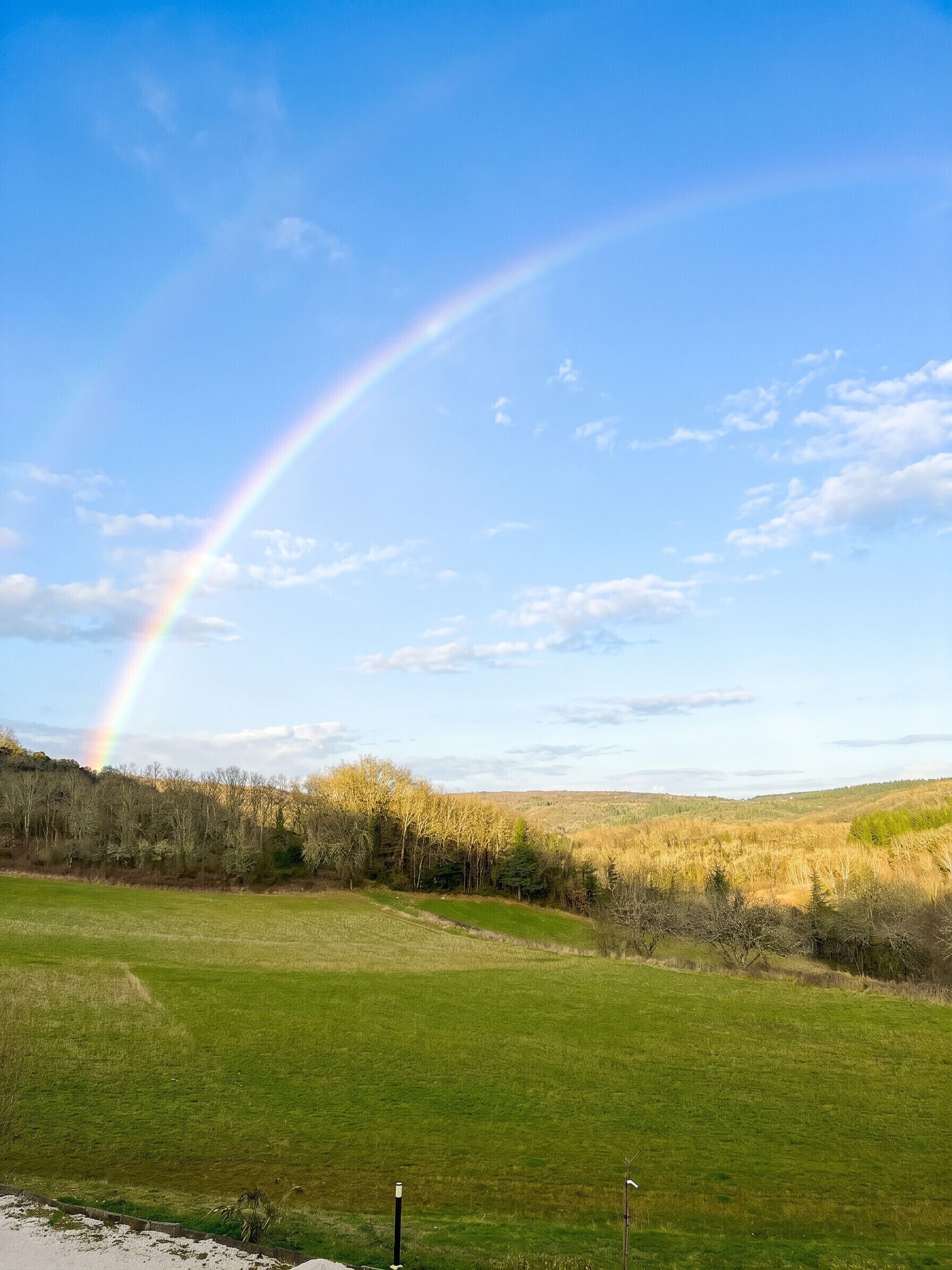 Ein grünes Feld mit einem Regenbogen am Himmel.