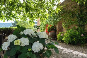 Detalle del exterior