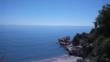 Lettini da mare