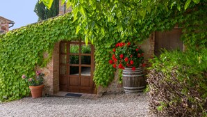 Un edificio rústico de piedra con puerta de madera y ventana, rodeado de exuberante hiedra verde y flores rojas en una maceta de barril.