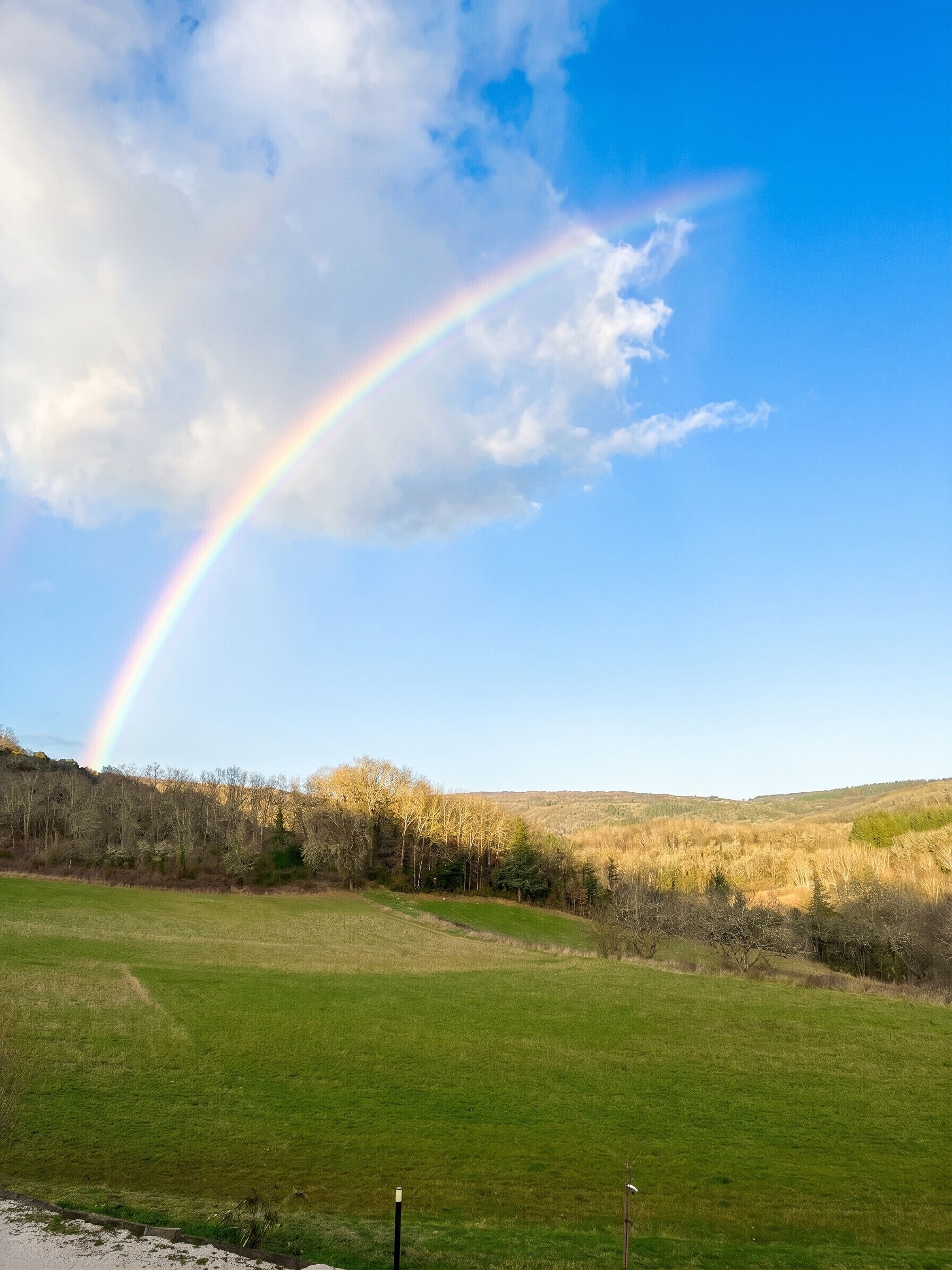 Un campo erboso con un arcobaleno, alberi e colline sullo sfondo.