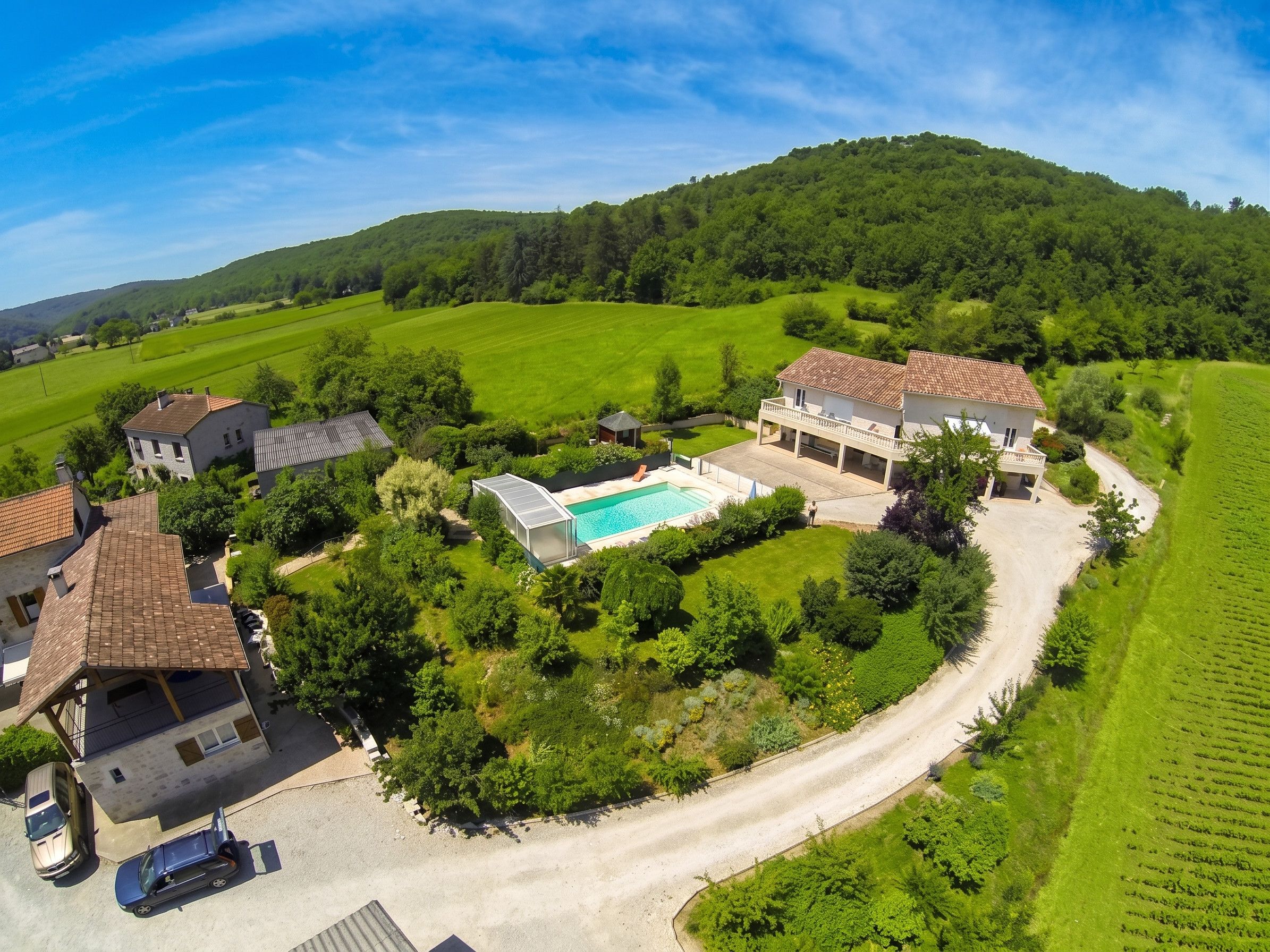 A residential area with a swimming pool, houses, and a vineyard.