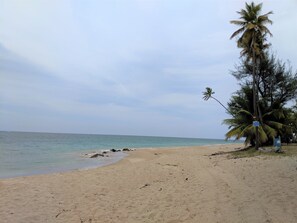 Playa en los alrededores, camastros y toallas de playa