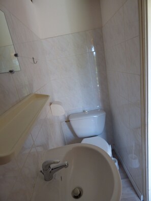 Bathroom features a sink, mirror, and toilet, with a shelf above the sink.