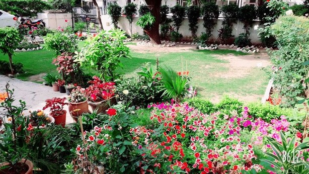A garden with various potted plants and flowers, a lawn, and a tree. - Fabulous Large Row House in best location (Chandigarh)