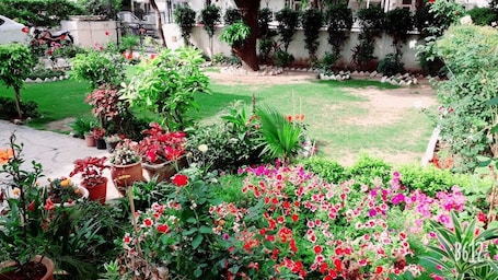 Property grounds. Fabulous Large Row House in best location