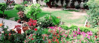 Fabulous Large Row House in best location