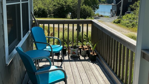A wooden deck with two blue chairs, a small table, and potted plants. - 24 - Funky and charming, 'small house' in West Tremont (Tremont)
