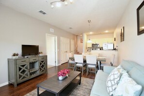 TV, video game console