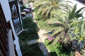 A courtyard with a stone pathway, palm trees, and outdoor seating.
