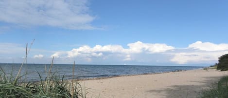 Playa en los alrededores