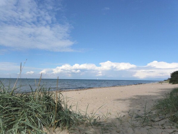 Una spiaggia nelle vicinanze
