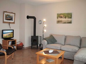 Fladskærms-tv, pejs