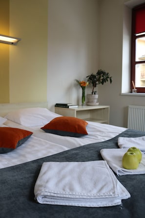 Habitación de lujo doble | Escritorio, tabla de planchar con plancha, wifi gratis y ropa de cama