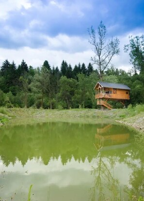 Tree House | Blackout drapes, iron/ironing board, free WiFi, bed sheets - Vadul Lupilor (Moisei)