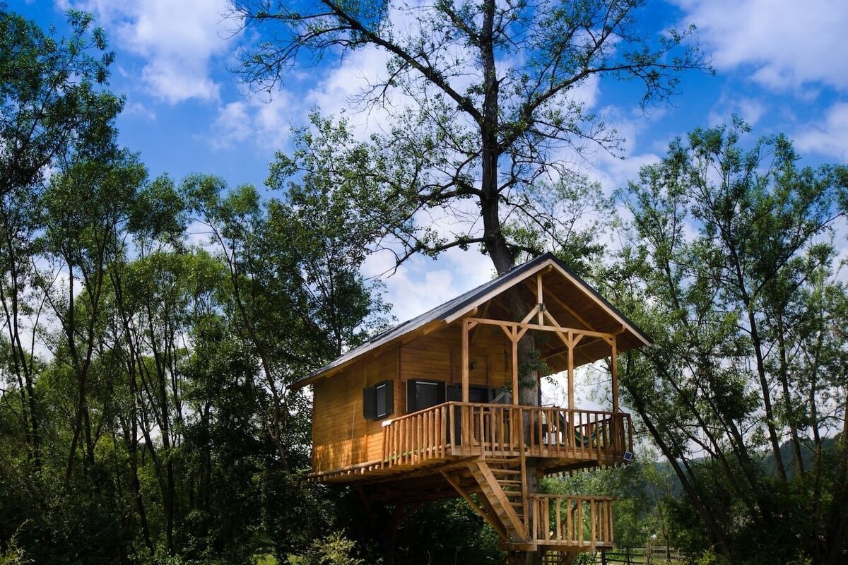 Boomhut | Verduisterende gordijnen, een strijkplank/strijkijzer, gratis wifi