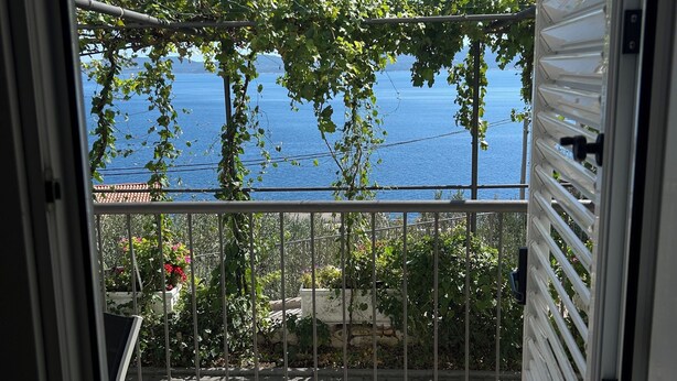 Un balcón con vistas al mar, barandilla metálica y plantas en macetas.