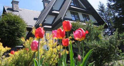 APARTAMENT No. 7 with a view of the mountains